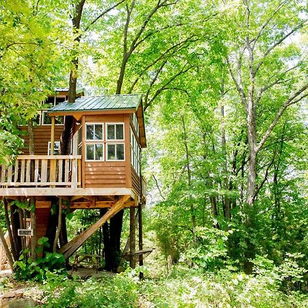 The Cottage Treehouses Hermann Extérieur photo